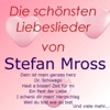Stefan Mross - Something Stupid