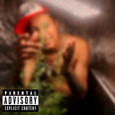 Money Maker Little Garden - Single