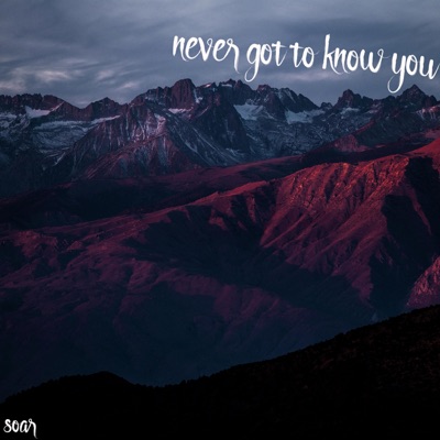 Never Got to Know You - Single