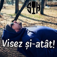 Visez Și-Atât! - Single - SeTeHash