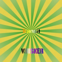 Transit - Single - Whisker