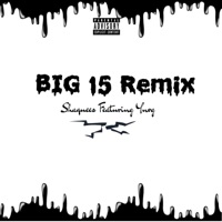 BIG 15 (feat. Ynvg) [Remix] - Single - Shaquees