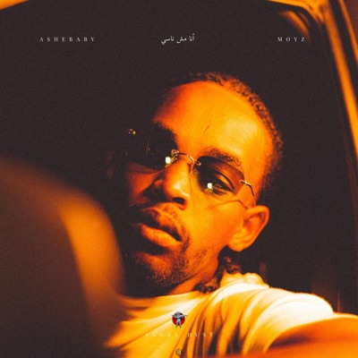 أنا مش ناسي (feat. MOYZ) - Single