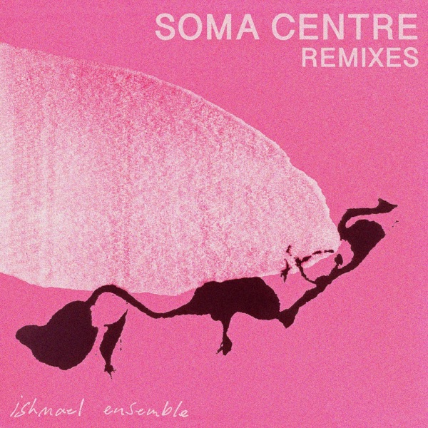 Soma Centre (Remixes) - EP