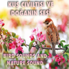 İsa Tunç - Kuş Cıvıltısı Ve Doğa Sesi / Bırd Sounds and Nature Sound artwork
