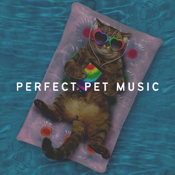 Perfect Pet Music