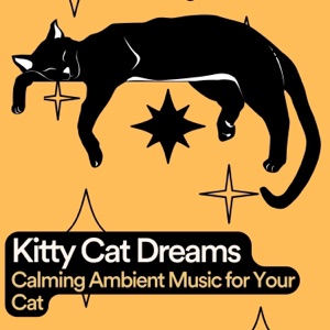 Kitty Cat Dreams Calming Ambient Music for Your Cat