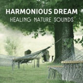 Harmonious Dream - Healing Nature Sounds for Trouble Sleeping, Tranquil Music to Help You Relax & Calm Down, Peaceful Melodies for Sweet Dreams artwork