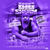 Your a Boss (feat. Suga T, Rees Bee & Dj Michael Watts) [chopnotslop Remix] - Single - Big Sherm