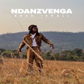 Ndanzvenga artwork