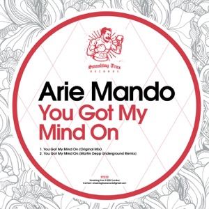 You Got My Mind On - Single