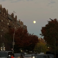 Lost In Time - Single - olea