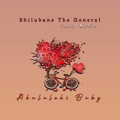 Akulaleki Baby (feat. Wysic) - Single