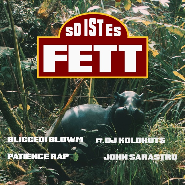 (so ist es) Fett [feat. DJ Koldkuts] - Single