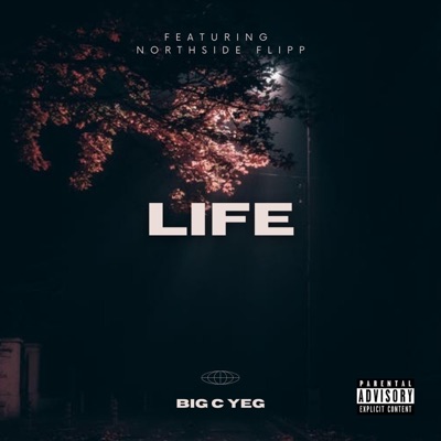 Life (feat. North$ide Flipp) - Single