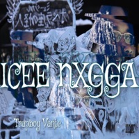 Icee Nxgga - TrapBoy Vante