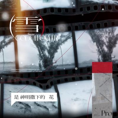 pro - 雪是神明撒下的花 (DJHZ版)