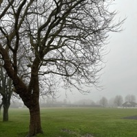 Remorse - Single - evergarden