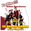 Jefe de Jefes / Cuando se Llega a Viejo En Vivo Mix (En vivo)