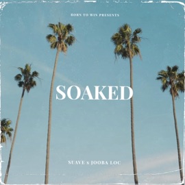 Soaked (feat. Jooba Loc) $uave