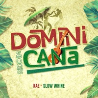 Slow Whine - Single - RAE