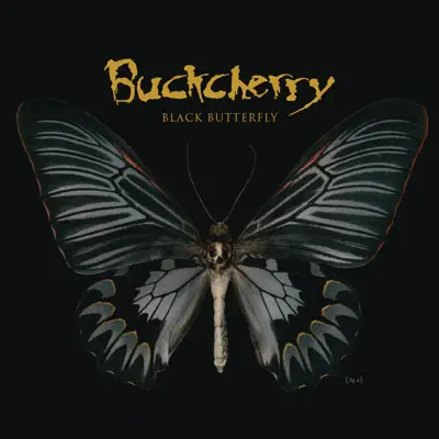 Black Butterfly - Buckcherry