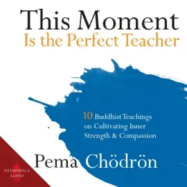 This Moment Is the Perfect Teacher: Ten Buddhist Teachings on Cultivating Inner Strength and Compassion (Unabridged)