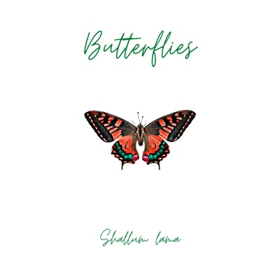 Butterflies - Single