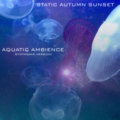 Aquatic Ambience (Synthwave Version) artwork