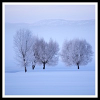 Christmas Alone - Single - Chill Beats & Lazy Tree Records