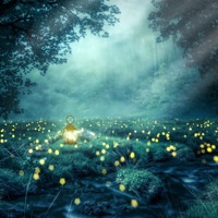 Forest Glow - Single - Fugee