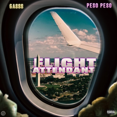 Flight Attendant (feat. PesoPeso) - Single