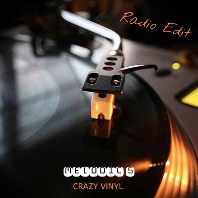Crazy Vinyl (Radio Edit) - Single