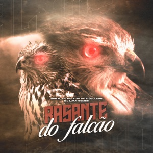 Rasante do Falcão (feat. Delleon & Tropa da W&S)