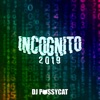 Incognito 2019 - Single