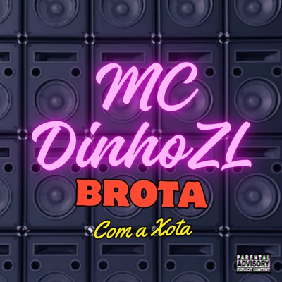 Brota Com a Xota - Single