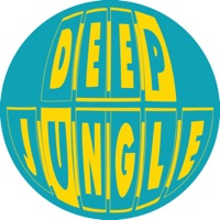 I Can't Understand / Experience - Single - DJ Crystl