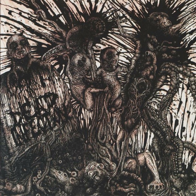 Amazon.com: Putrefaction In Progress: CDs y Vinilo