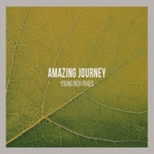 Amazing Journey artwork