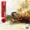 Tumbados 2 (feat. Tona Dayz, Litzy & Tona Sativa) - Askonegang lyrics