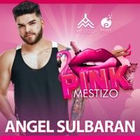 Angel Sulbarán - MESTIZO PINK - Enjoy album artwork