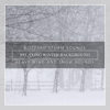 Blizzard Storm Sounds, Relaxing Winter Background, Heavy Wind and Snow Sounds - Nature Sounds