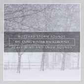 Blizzard Storm Sounds, Relaxing Winter Background, Heavy Wind and Snow Sounds artwork