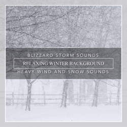 Blizzard Storm Sounds, Relaxing Winter Background, Heavy Wind and Snow Sounds - Nature Sounds Cover Art