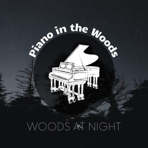 Woods at Night, Soft Piano