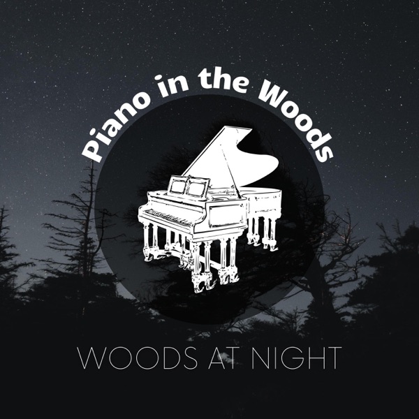 Woods at Night, Soft Piano