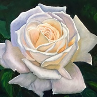 Layla - Single - Mortymp3