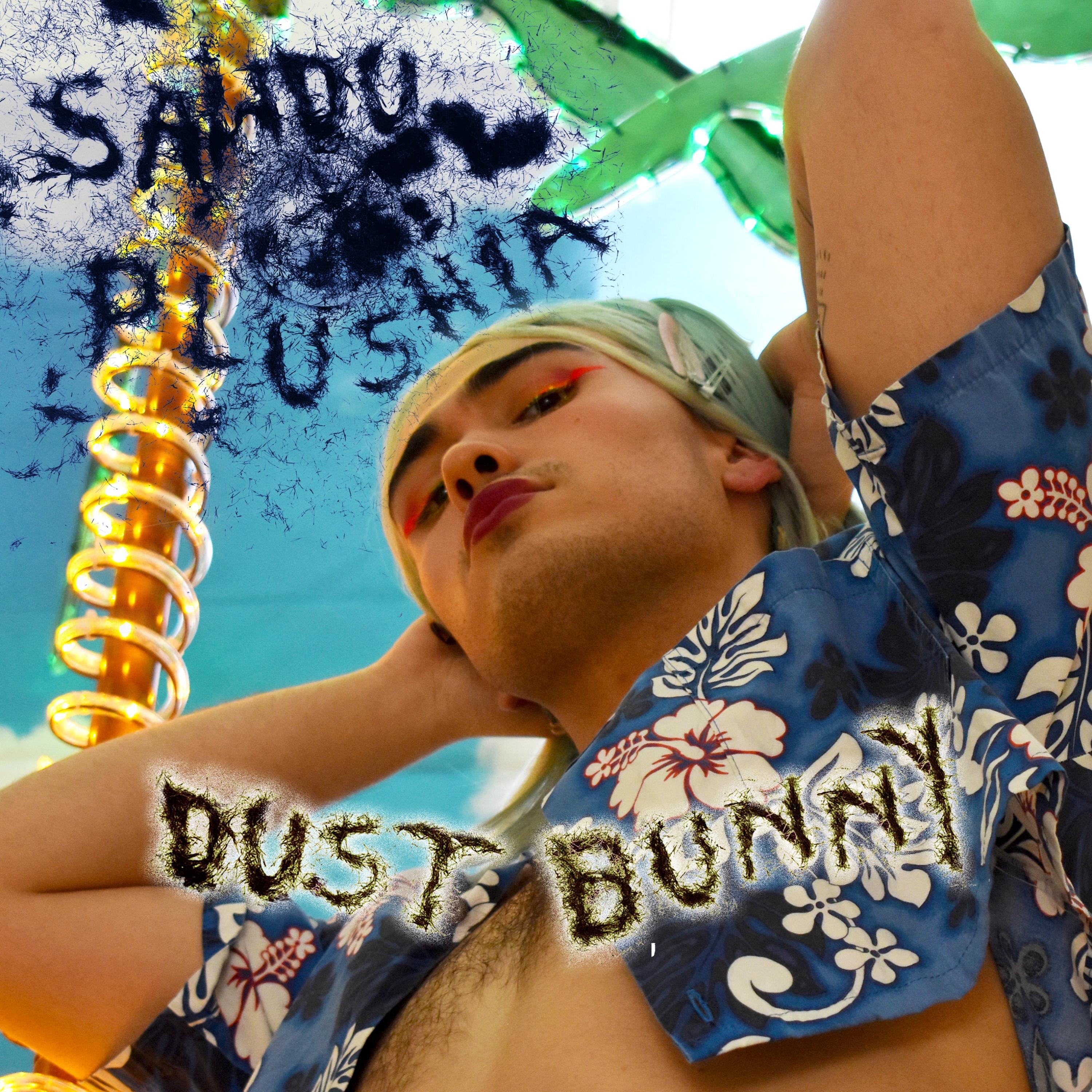 Dust Bunny