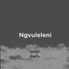 Stream & download Ngvuleleni - Single