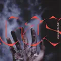 Emotions Software